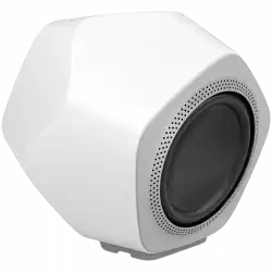 Beolab 19 Speaker White (Frame Natural Alu)
