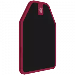 Beoplay A9 4th Gen White/Oak