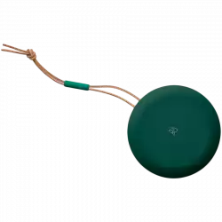 Beosound A1 2nd Gen Green