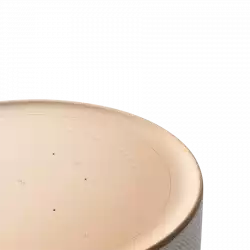 Beosound Level Speaker Natural Alu (Cover Dark Grey)