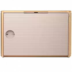 Beosound Level Speaker Gold Tone Alu (Cover Light Oak)