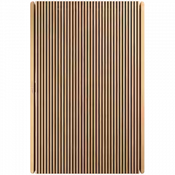 Beosound Level Speaker Gold Tone Alu (Cover Light Oak)