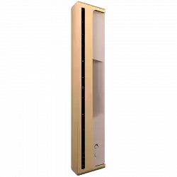 Beosound Level Speaker Gold Tone Alu (Cover Light Oak)