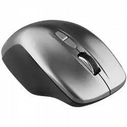 CANYON MW-21, 2.4 GHz Wireless mouse,with 7 buttons, DPI 800/1200/1600, Battery:AAA*2pcs,Dark gray72*117*41mm 0.075kg