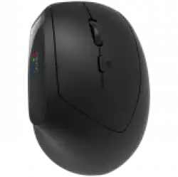 CANYON mouse MW-25 Ergonomic LED AA Dual mode Wireless Black