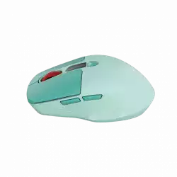 CANYON mouse MW-26 LCD Silent Dual Mode Wireless Green