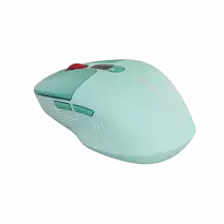 CANYON mouse MW-26 LCD Silent Dual Mode Wireless Green