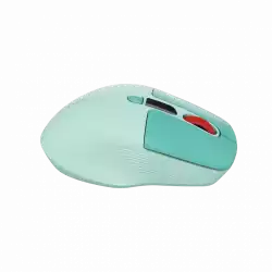 CANYON mouse MW-26 LCD Silent Dual Mode Wireless Green
