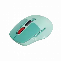CANYON mouse MW-26 LCD Silent Dual Mode Wireless Green