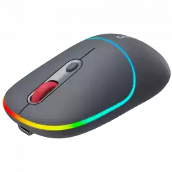 CANYON mouse MW-22 2in1 BT/ Wireless Dark Grey
