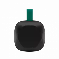 CANYON speaker HEXAGON 10 TWS 8W IPX5 Black Green