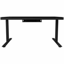 Dual-motor sit/stand adjustable-height gaming desk with wireless charger, RGB lighting, control panel, and USB ports, solid tempered glass tabletop, black.
