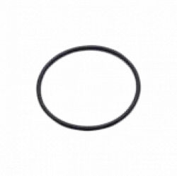 EK-D5 Pump O-Ring