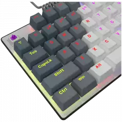 LORGAR Azar 514TKL, Wired RGB mechanical gaming keyboard, white, EN layout
