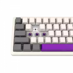 LORGAR KBP70MW, Wireless 65% Mechanical Gaming Keyboard Pro, Beige, EN layout