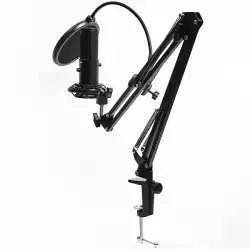 LORGAR Voicer 931, Gaming Microphone, Black, USB condenser microphone with boom arm stand, pop filter, tripod stand. including 1* microphone, 1*Boom Arm Stand with C-clamp, 1*shock mount, 1*pop filter, 1*windscreen cap, 1*2.5m type-C USB cable, 1* Extra tripod
