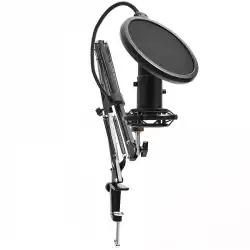 LORGAR Voicer 931, Gaming Microphone, Black, USB condenser microphone with boom arm stand, pop filter, tripod stand. including 1* microphone, 1*Boom Arm Stand with C-clamp, 1*shock mount, 1*pop filter, 1*windscreen cap, 1*2.5m type-C USB cable, 1* Extra tripod