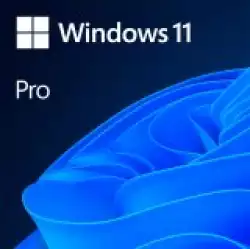 Microsoft Windows 11 Pro 64Bit English 1pk DSP OEI DVD