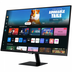 Монитор  LED Samsung LS27DM500EUXDU M5 Smart, 27'' FHD FLAT 16:9 (1920x1080) VA 60Hz, 250 cd/2, 3000:1, 4ms (GTG), 178/178, 2xHDMI, 2xUSB-A, WiFi5, Bluetooth, Tizen OS, Remote, Tilt, VESA 100x100, 2Y
