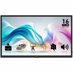 Монитор MSI PRO MP165 E6 Professional Business Portable, 15.6