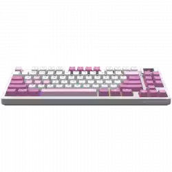 MSI FORGE GK600 TKL WIRELESS VIOLET - Hot-Swappable Mechanical Switches, PBT Keycaps, Sound-Dampening Foam and Gaskets, Integrated Display, RGB LED, 2.4GHz, BT, USB-C
