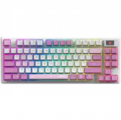 MSI FORGE GK600 TKL WIRELESS VIOLET - Hot-Swappable Mechanical Switches, PBT Keycaps, Sound-Dampening Foam and Gaskets, Integrated Display, RGB LED, 2.4GHz, BT, USB-C