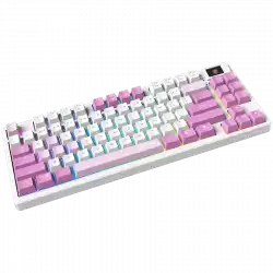 MSI FORGE GK600 TKL WIRELESS VIOLET - Hot-Swappable Mechanical Switches, PBT Keycaps, Sound-Dampening Foam and Gaskets, Integrated Display, RGB LED, 2.4GHz, BT, USB-C