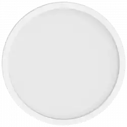 Xiaomi Smart Ceiling Light D40