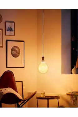 Woox смарт крушка Light - R5139 - WiFi Smart Filament Globe LED Blub E27 Type G95, 4.9W/50W, 470lm, Warm White and Cool White