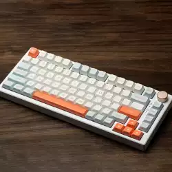 VGN професионална геймърска механична клавиатура Professional Gaming Mechanical Keyboard N75 RGB Jelly Orange - Power Silver Switches [Linear]