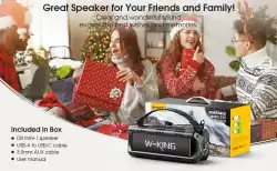 W-King Блутут мобилна колонка Bluetooth Speaker - D8 Mini Black - 30W