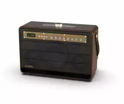 W-King Блутут парти колона Bluetooth Party Speaker - K6L - 120W, 2 x Wireless Microphones, Karaoke