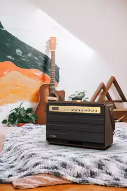 W-King Блутут парти колона Bluetooth Party Speaker - K6L - 120W, 2 x Wireless Microphones, Karaoke