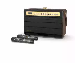 W-King Блутут парти колона Bluetooth Party Speaker - K6L - 120W, 2 x Wireless Microphones, Karaoke