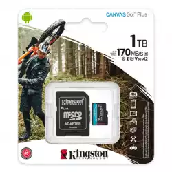 1TB SDMIC KINGST GO+ SDCG3