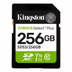 256G SD KINGST SDS3                          