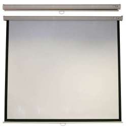 ACER PROJECT SCREEN M87-S01MW