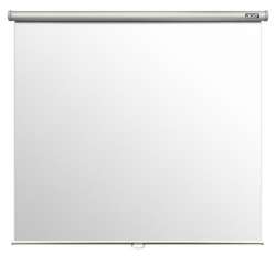 ACER PROJECT SCREEN M87-S01MW                          