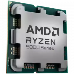 AMD RYZEN 9 9900X3D TRAY                          