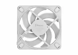 FD MOMENTUM 12 WHITE