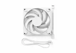 FD MOMENTUM 12 WHITE