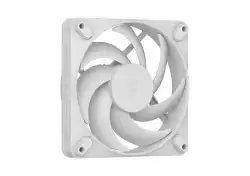FD MOMENTUM 12 WHITE