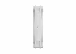 FD MOMENTUM 12 WHITE