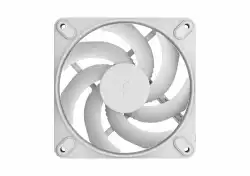 FD MOMENTUM 12 WHITE