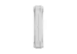 FD MOMENTUM 12 WHITE