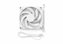 FD MOMENTUM 12 WHITE