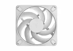 FD MOMENTUM 12 WHITE