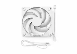 FD MOMENTUM 14 WHITE