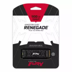 KINGSTON SFYRDK/2000G RENEGATE