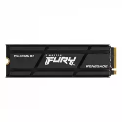 KINGSTON SFYRSK/1000G M.2